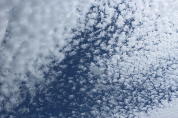 cirrocumulus cloudscape - fluffy white clouds on blue sky background - obrazy, fototapety, plakaty