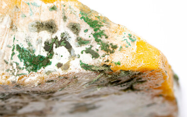 Mold on cheese, close-up on a white background. Mold on food. Fluffy mold spores as a background or...