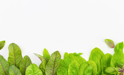 Background with leafy vegetables along the bottom edge