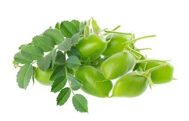Green chickpeas in the pod with green leaves, isolated on white background. Cicer arietinum. Clipping path.