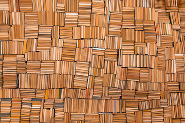 Lots of stacked books on the wall as background. The concept of knowledge, learning and science....