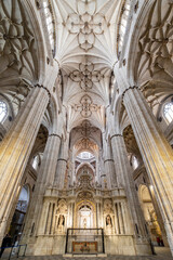 Catedral de la Asunción de la Virgen, Salamanca,  comunidad autónoma de Castilla y León, Spain