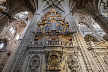 órgano del Evangelio,  construido por Pedro de Echevarria en 1744, Catedral de la Asunción de la Virgen, Salamanca,  comunidad autónoma de Castilla y León, Spain