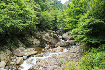 愛媛県松野町　滑床渓谷　万年橋からの風景