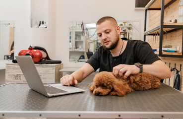 Professional male groomer working on laptop in her workplace in grooming salon near with poodle dog. Animals Grooming concept