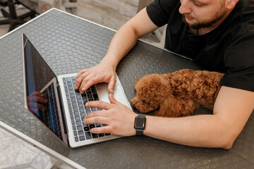 Professional male groomer working on laptop in her workplace in grooming salon near with poodle dog. Animals Grooming concept