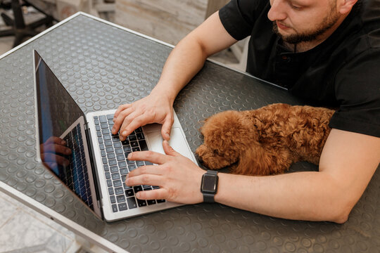 Professional Male Groomer Working On Laptop In Her Workplace In Grooming Salon Near With Poodle Dog. Animals Grooming Concept