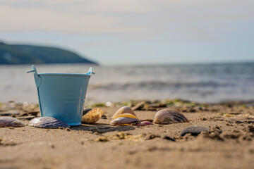 Fototapeta na wymiar pale blue bucket of collected sea shells on a sandy beach