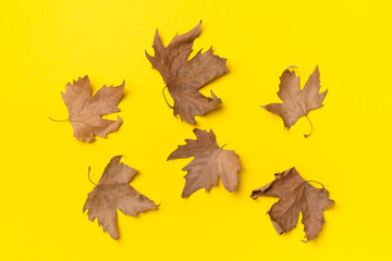 Flat lay composition with autumn leaves on color background, top view