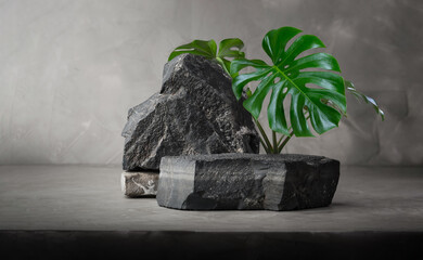 dark stone podium stage for show product with green Monstera tree house plant on concrete wall...