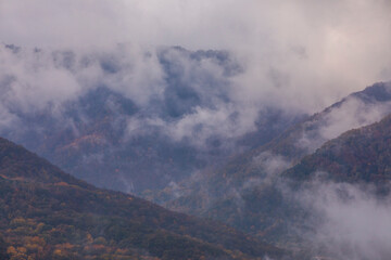 Autumn sunrise in Puigsacalm peak, La Garrotxa, Spain