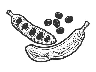 Carob carat tree ripe fruit pods sketch engraving vector illustration. T-shirt apparel print design. Scratch board imitation. Black and white hand drawn image.