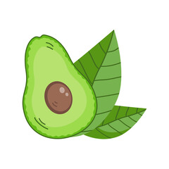 Green ripe avocado fruit with leaf. Sliced half with pulp. Healthy diet food. Culinary ingredient. Cooking food. Flat vector illustration isolated on white background