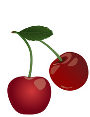 Two cherries with leaves illustration vector