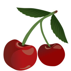 Two red cherries with leaves vector