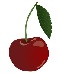Red cherry with leaf illustration vector