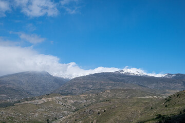 Fototapeta premium Impressive view from the top on picturesque mountain valley with trees and bushes in sunny summer day with blue sky and white clouds in background.