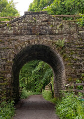 Old historic stone bridge at the entrance to Dunkeld hermitage and pine forest in Perthshire, Scotland