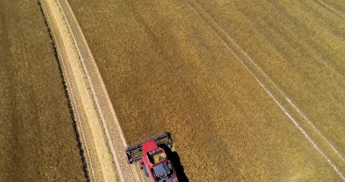 DRONE VIEW OF A WHEAT HARVEST IN FRANCE. Farmers harvesting a wheat field with a tractor and a combine during the summer. July 2022 - Normandy / FRANCE.