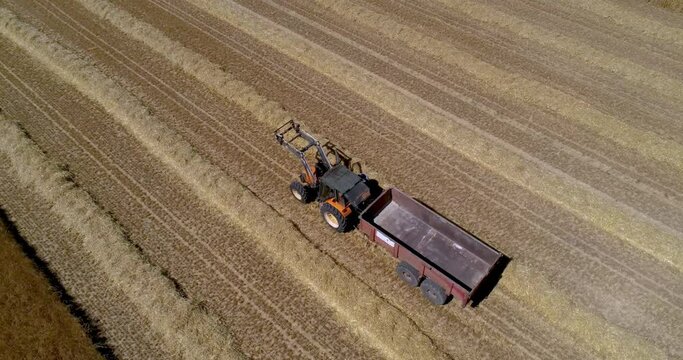 DRONE VIEW OF A WHEAT HARVEST IN FRANCE. Farmers harvesting a wheat field with a tractor and a combine during the summer. July 2022 - Normandy / FRANCE.