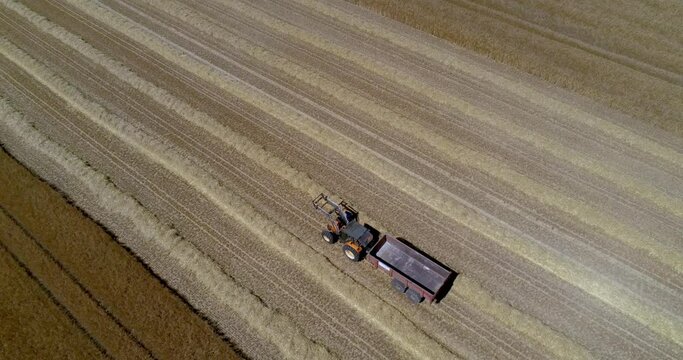 DRONE VIEW OF A WHEAT HARVEST IN FRANCE. Farmers harvesting a wheat field with a tractor and a combine during the summer. July 2022 - Normandy / FRANCE.