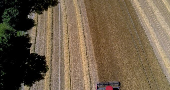 DRONE VIEW OF A WHEAT HARVEST IN FRANCE. Farmers harvesting a wheat field with a tractor and a combine during the summer. July 2022 - Normandy / FRANCE.