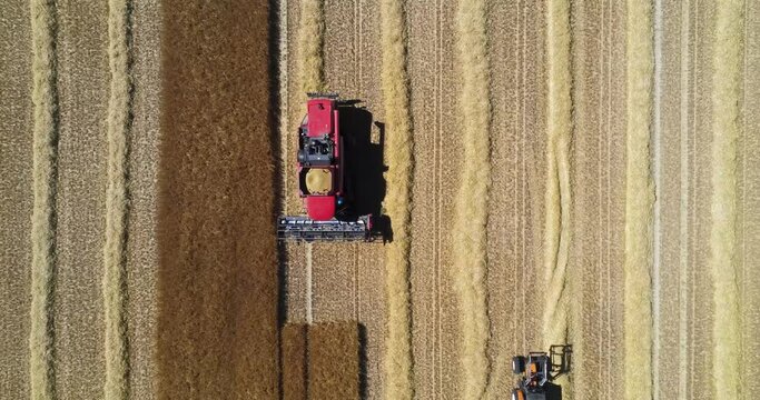 DRONE VIEW OF A WHEAT HARVEST IN FRANCE. Farmers harvesting a wheat field with a tractor and a combine during the summer. July 2022 - Normandy / FRANCE.