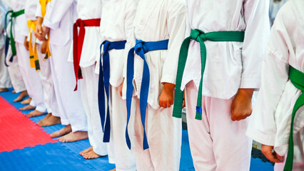 Tae kwon do belts. Martial arts. Colorful belts. Training of young sportist.  