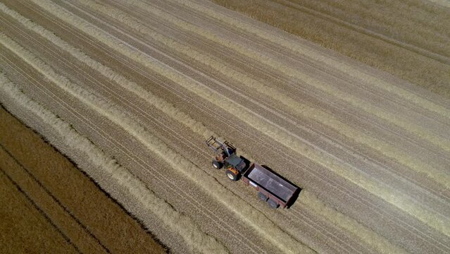 DRONE VIEW OF A WHEAT HARVEST IN FRANCE. Farmers harvesting a wheat field with a tractor and a combine during the summer. July 2022 - Normandy / FRANCE.