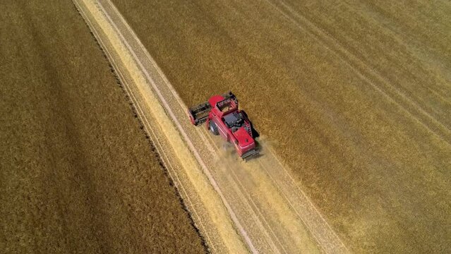 DRONE VIEW OF A WHEAT HARVEST IN FRANCE. Farmers harvesting a wheat field with a tractor and a combine during the summer. July 2022 - Normandy / FRANCE.