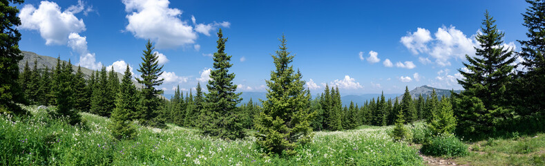 Mountain landscape in Russia in July, Ural Sverdlovsk region