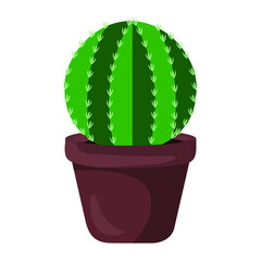 Vector illustration of cactus flowerpot, indoor flower, decorative flower