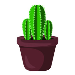 Vector illustration of cactus flowerpot, indoor flower, decorative flower