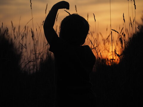 Summer Field Sunset Child Game Sun Rays Evening Night