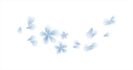 White Blue flying flower and petals isolated on White background. Sakura petals. Vector