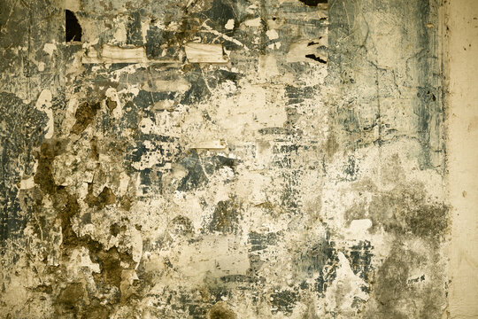 Grunge wall texture. High resolution vintage background.