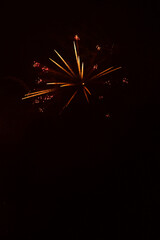 Fireworks exploding against black background