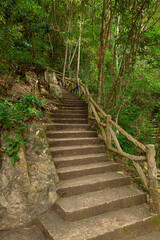 Old stone stairs in woods