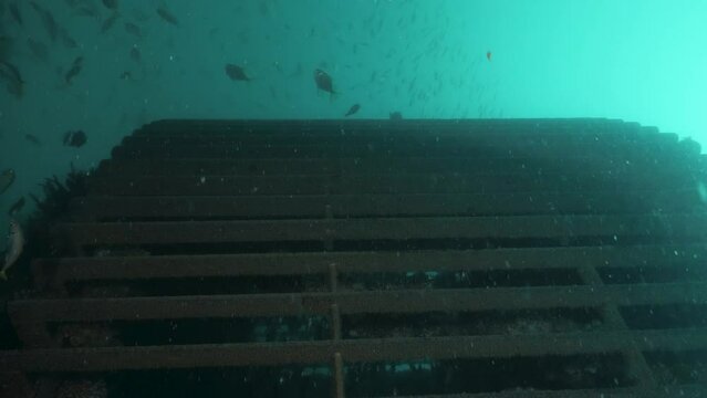 Commercial divers view inspecting a large metal infrastructure deep below the ocean.