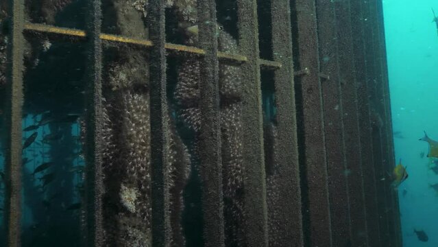 Unique underwater view of a desalination plant inlet infrastructure built deep below the ocean
