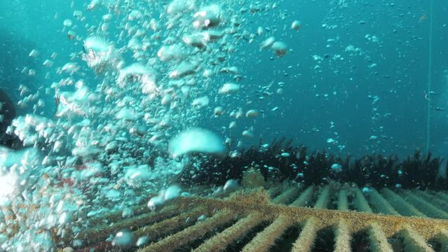 Streams of bubble rise while scuba divers inspect an underwater infrastructure project.
