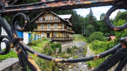 OLYMPUS DIGITAL CAMERA © Marta