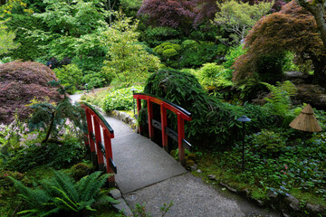 A Japanese style bridge at a Japanese Garden in Victoria, British Columbia, Canada