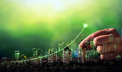 Growing money,finance and investment. Seedling are growing with business arrow of growth.Young...