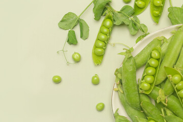 Freshly harvested organic green peas on the table	