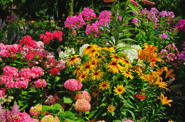 Summer flower bed with bright flowers