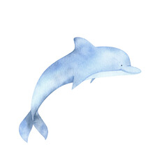 Watercolor dolphin illustration. Cute baby animal underwater graphics. Whale hand-drawn, sea animal, fish. Ocean children illustration