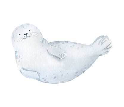 Watercolor fur seal illustration. Cute baby animal underwater graphics. Hand-drawn sea animal, sea lion. Ocean children illustration