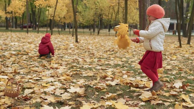 Two happy funny children kids boy Girl walking in park forest enjoying autumn fall nature weather. Kid Collect falling leaves in baskets, looking for harvest of mushrooms playing hiding behind trees