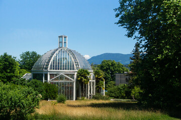 Fototapeta na wymiar Greenhouse of the Geneva botanical garden in summer, Switzerland